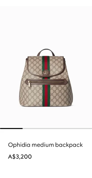 Gucci Bag plus shipping.