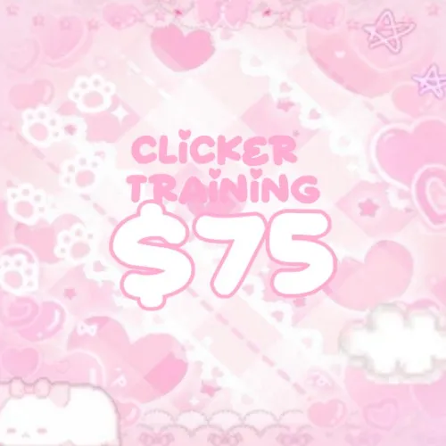 ʚᰔɞ $75 ~ Clicker training ʚᰔɞ