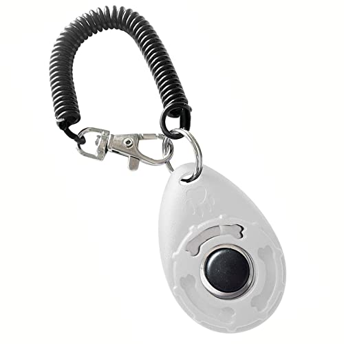 Clicker for dog education