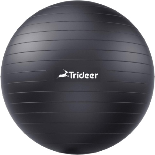 Trideer Extra Thick Yoga Ball Exercise Ball, 5 Sizes Ball Chair, Heavy Duty Swiss Ball for Balance, Stability, Pregnancy, Physical Therapy, Quick Pump Included - Black L(23-26ines/58-65cm)