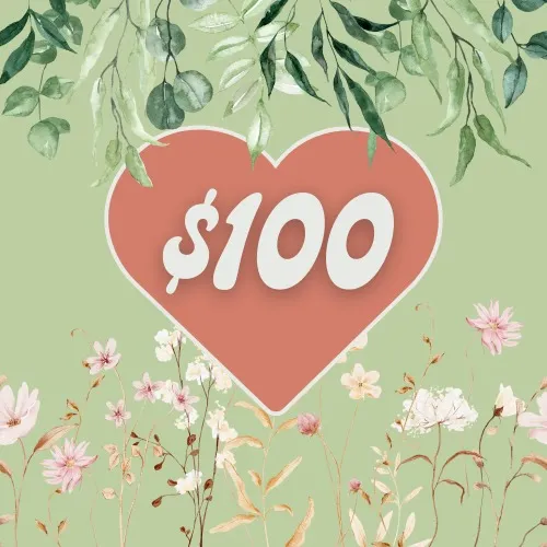 $100 Self Care Spree