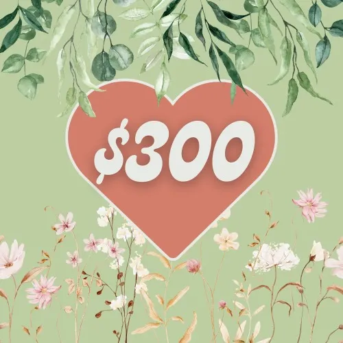 $300 Shopping Spree