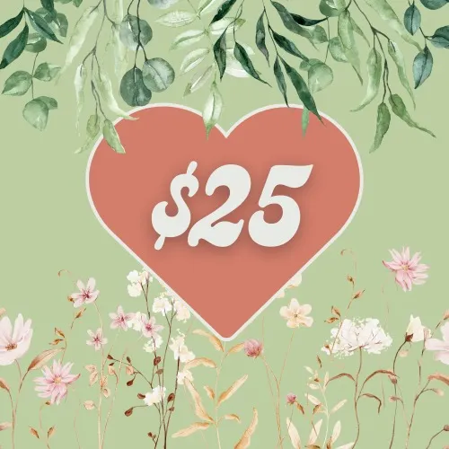 $25 Lunch