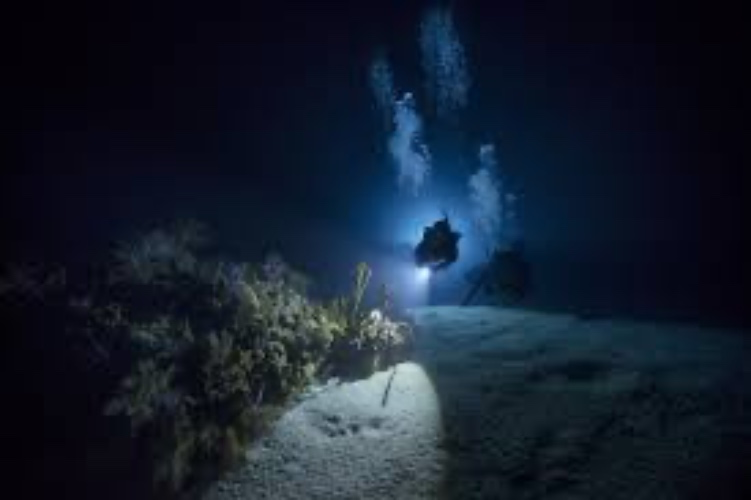 Night Dive