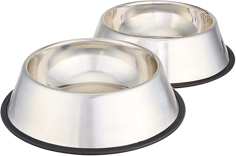 Amazon Basics Stainless Steel Non-Skid Pet Dog Water And Food Bowl, 2-Pack (10 x 2.8 Inches), Each Holds Up to 4 Cups - Stainless Steel - 2-Pack