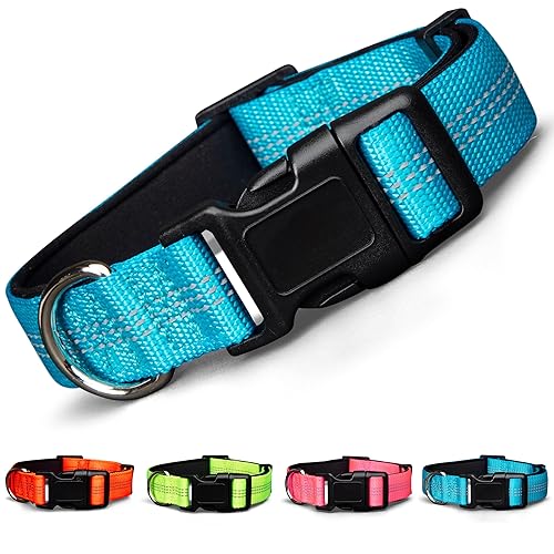 BLAZIN 'Color Me Happy!' Reflective Dog Collar for Day and Night - Adjustable Soft Neoprene Padded Dog Collar in 4 Vibrant Colors - Keeps Dogs Safe and Stylish - for Every Day Use (Medium, Blue) - Medium - Brilliant Blue