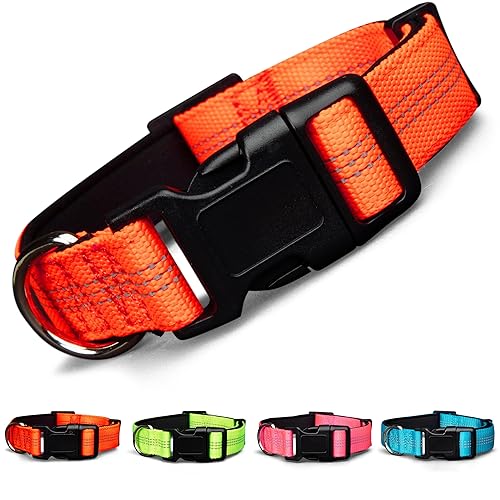 BLAZIN 'Color Me Happy!' Reflective Dog Collar for Day and Night - Adjustable Soft Neoprene Padded Dog Collar in 4 Vibrant Colors - Keeps Dogs Safe and Stylish - for Every Day Use (Large, Orange) - Large - OMG Orange