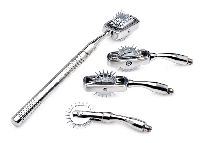 Master Series Deluxe Wartenberg Wheel set with Travel Case 1 count