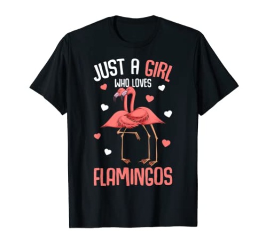 Just A Girl Who Loves Flamingos Girls Flamingo T-Shirt