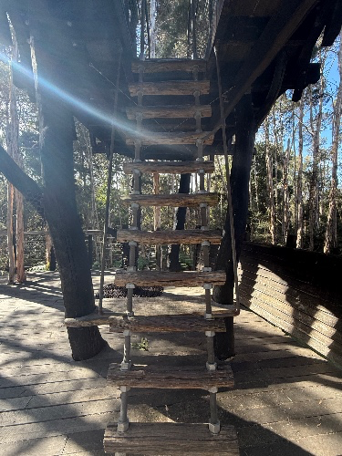 A weeks rent 🙏🏻