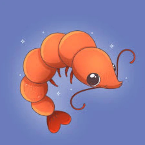 One shrimp