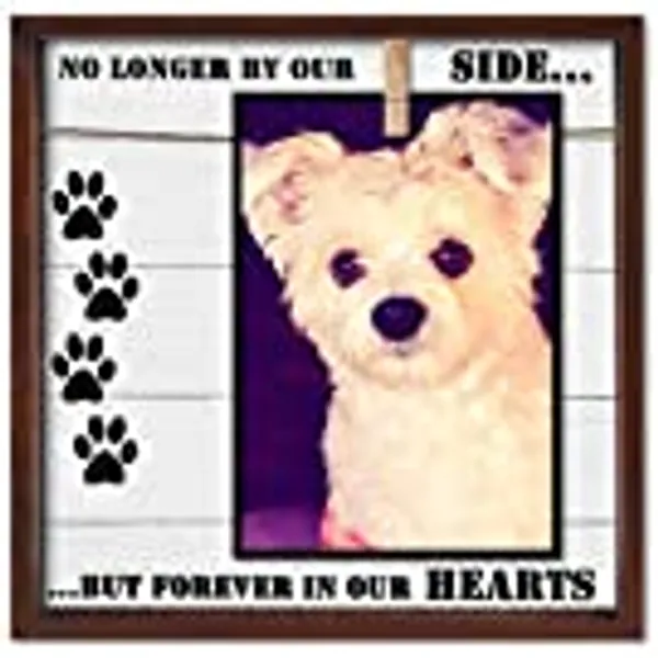 Pet Memorial Picture Frame. Cleverly Designed for 7x5, 4x6, 6x4 or Similar Sizes. Very Practical Sympathy Pet Photo Frame. In Memory of a Dog or Cat. A Caring Loss of Pet Gift Keepsake.