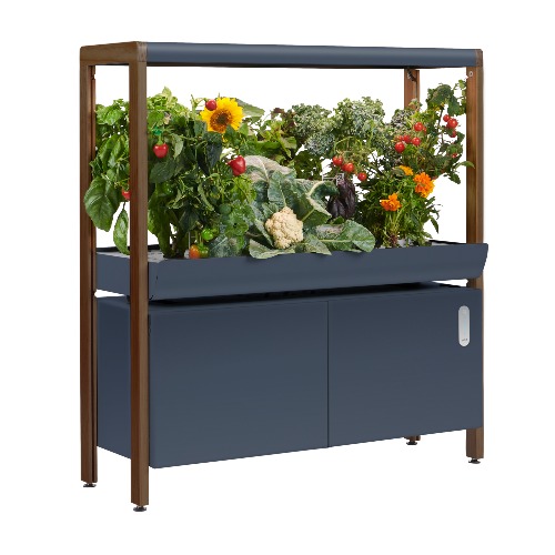 The Rise Garden | Charcoal