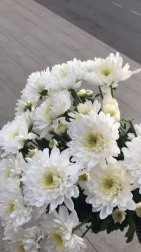 Small Bouquet 