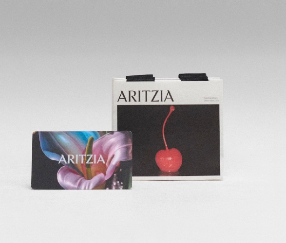 Aritzia Gift Card 