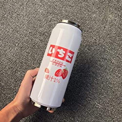 PEXIZUAN Kawaii Water Bottles Stainless Steel Water Bottle Kawaii Water Bottle with Straw Japanese Water Bottle Insulated(500ml/16.9oz,White) - 500ml/16.9oz White