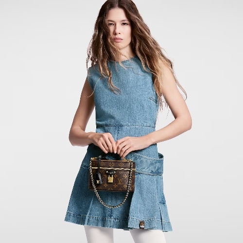 Louis Vuitton Vanity Pouch