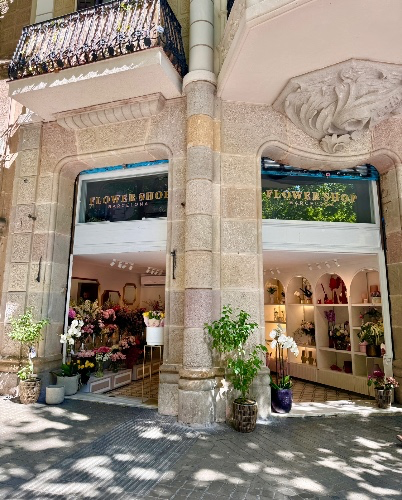 Afternoon chasing dappled sunlight 