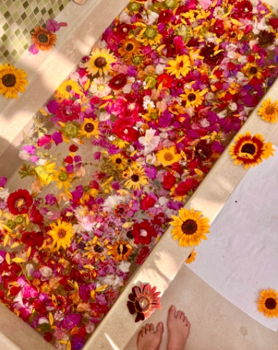 Day off indulging in pure luxurious replenishment 