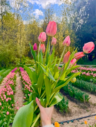 Farmer’s market bouquet 
