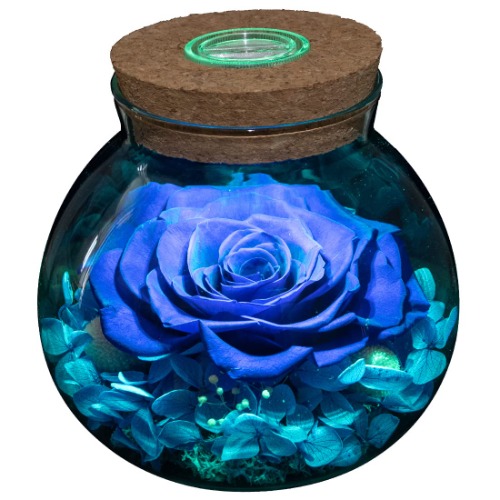 Preserved Real Roses with Colorful Mood Light Wishing Bottle,Eternal Rose，Never Withered Flowers,for Bedroom Party Table Decor, Anniversary,Valentine's,Mother's Day,a Gifts for Women(Blue) - Blue