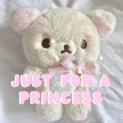 just for princess ( ˶ˆᗜˆ˵ )