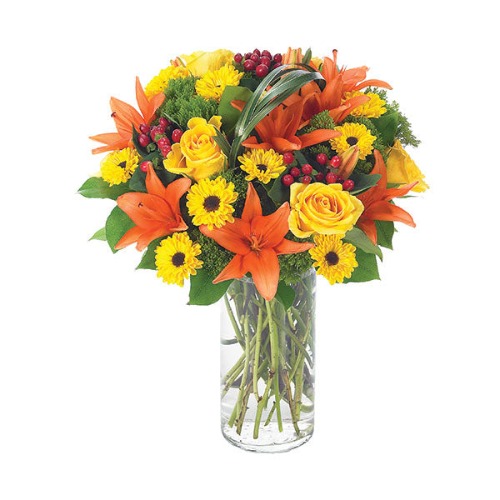 Autumn Sophistication - Autumn Sophistication / BF230-11KS