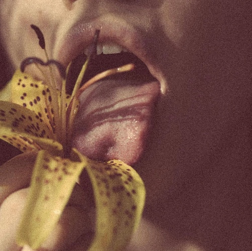 international flight