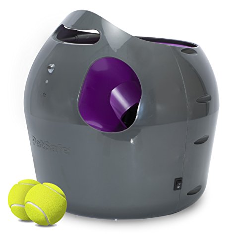 PetSafe Automatic Ball Launcher, Gray/Green/Purple (Packaging May Vary) ,1 Count - 1 Count