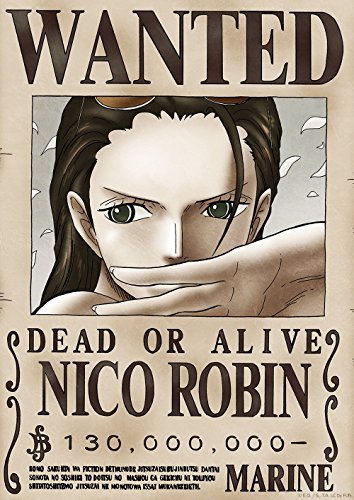 Tokiwa Corporation Anime ONE Piece Official Licensed Wanted Poster: New World