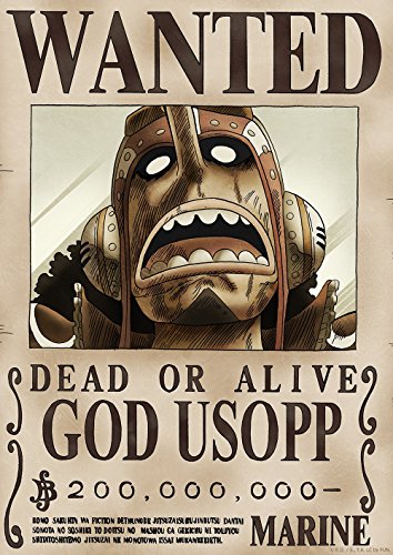 One Piece Wanted Poster: New World (Official Licensed)