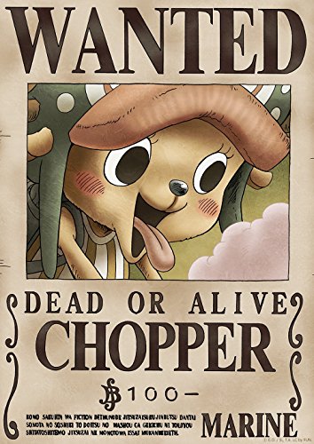 One Piece Wanted Poster: New World (Official Licensed)