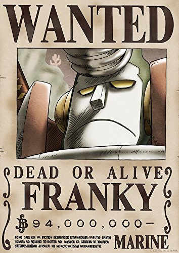 Tokiwa Corporation Anime ONE Piece Official Licensed Wanted Poster: New World