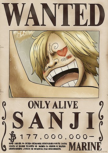 One Piece Wanted Poster: New World (Official Licensed)