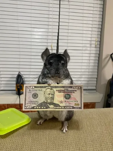 ✨Donación ULTRA DIRECTA! 💕