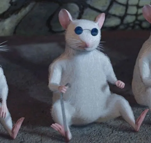 👀 OPERACIÓN PARA LOS OJITOS!! 👀