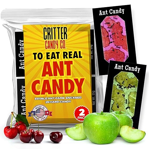 Hotlix Ant Bug Candy (2-Pack), Edible Bugs Insect Candy, Exotic Candy, Edible Insects Candy Individually Wrapped, Unique Candy, Halloween Suckers, Bug Sucker, Weird Candy, Unique Halloween Candy - Ant Candy (2-Pack)