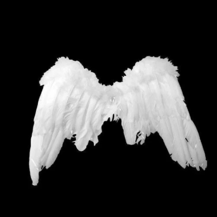 Crossbody-väskor Läder Zadig Voltaire 