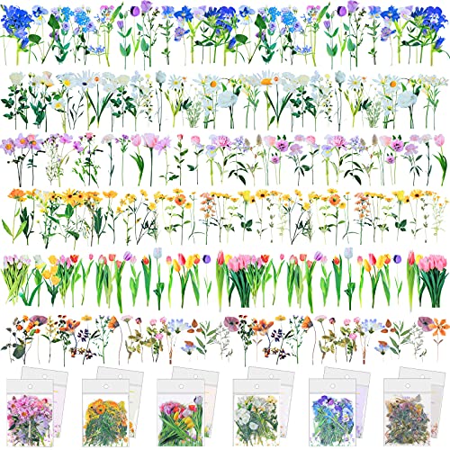 240 Pieces Transparent Small Flower Stickers for Scrapbooking PET Vintage Plants Stickers Clear Flower Decorative Waterproof DIY for Scrapbook, Journal, Album, Laptop, Card Making (Flower) - Flower