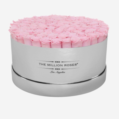 Deluxe Mirror Silver Box | Light Pink Roses | Silver / Light Pink