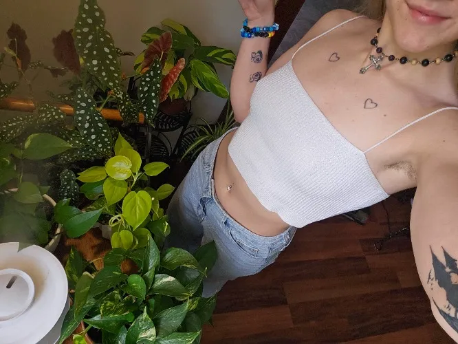 Buy Me a New Plant 🪴🌿