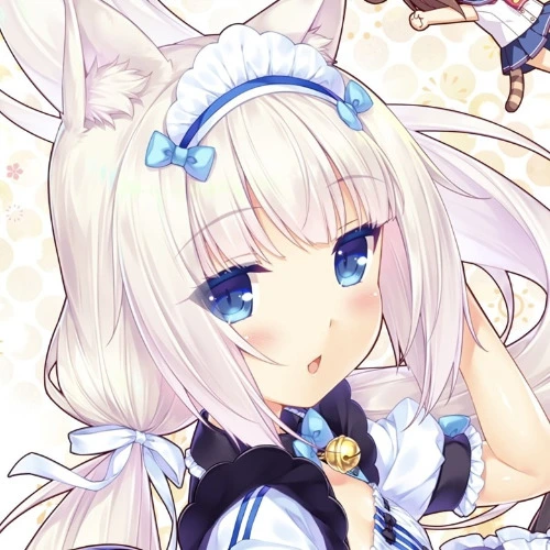 ₊˚⊹♡ widow tax