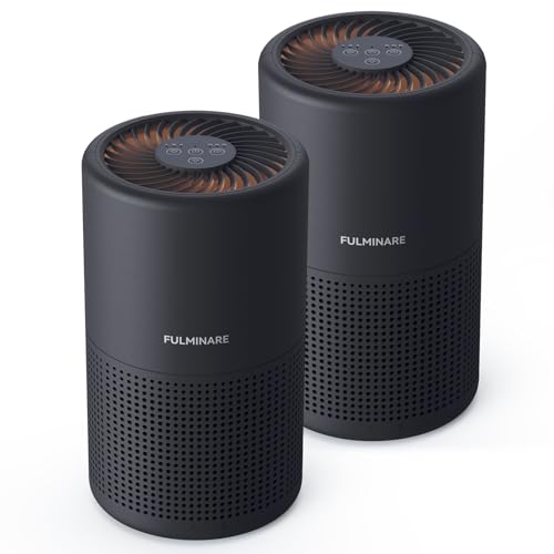 FULMINARE Air Purifiers for Bedroom H13 True HEPA Air Filter Quiet Air Cleaner With Night Light Portable Small Air Purifier for Home, Office, Living Room (Black 2 Pack) - 2 Pack - Black