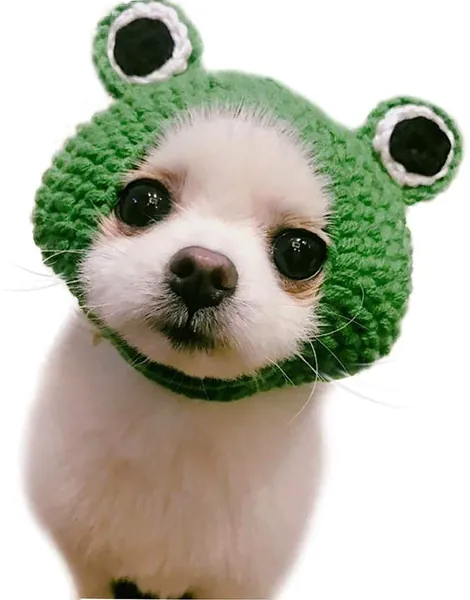 Bonaweite Pet Hat - Knitted Woolen Yarn Frog Cap