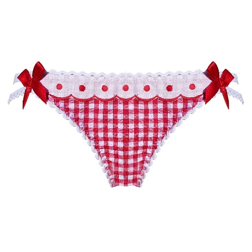 Picnic gingham poplin brief — Buttress & Snatch