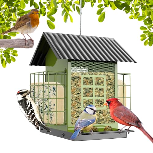 Bird Feeders for Outdoors Hanging, Metal Bird Feeder with Double Suet Cage Cake, Large Capacity, Birdfeeders Durable & Weatherproof, Easy to Clean & Refill, Great for Attracting Wild Birds - Green