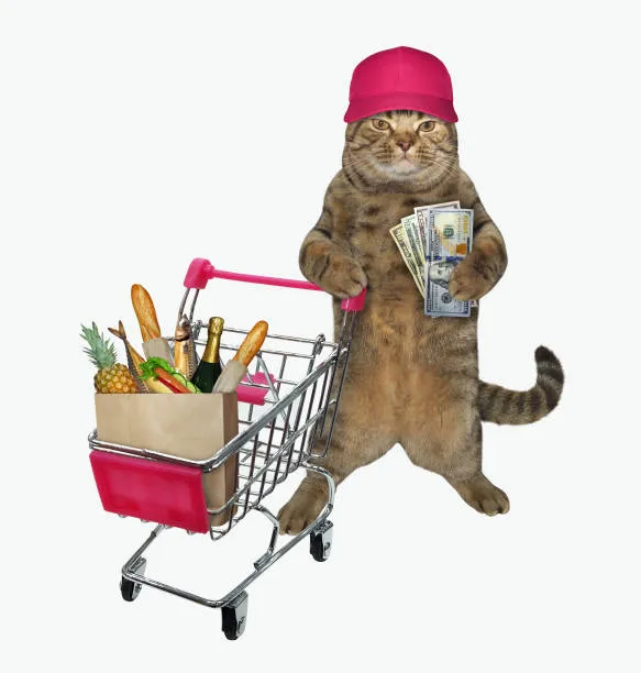 Shopping Funds