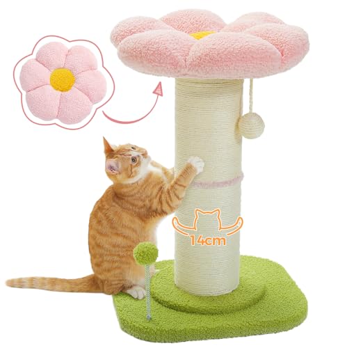 Flower Cat Scratching Post