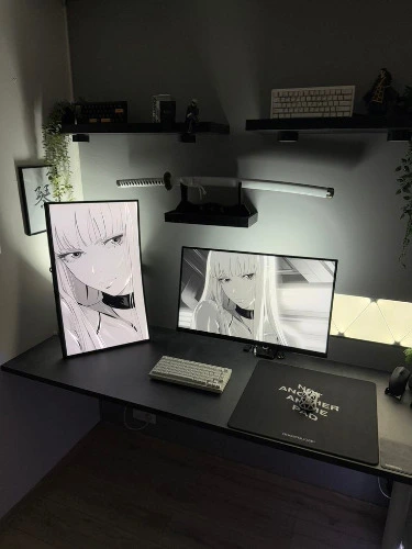 monitors