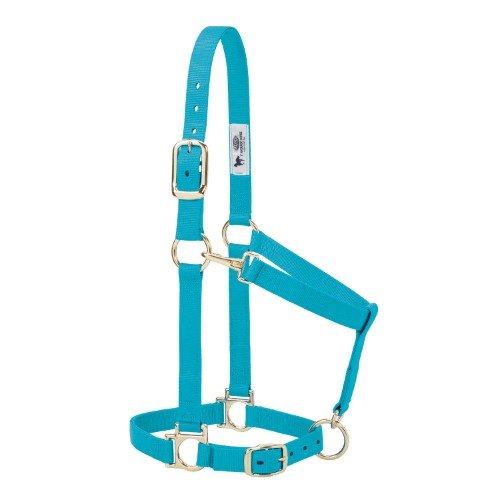 Weaver Leather Basic Adjustable Halter - Turquoise Average Horse